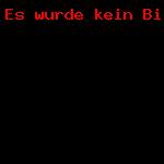 Himmelfahrtstour 2011